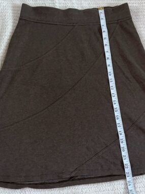 Horny Toad Brown A-Line Skirt